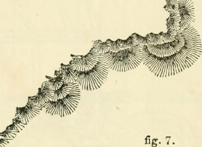 An illustration from The illustrated architectural, engineering, & mechanical drawing-book : for the use of schools, students, and artisans ; upwards of 300 illustrations, 1856, leaf 111