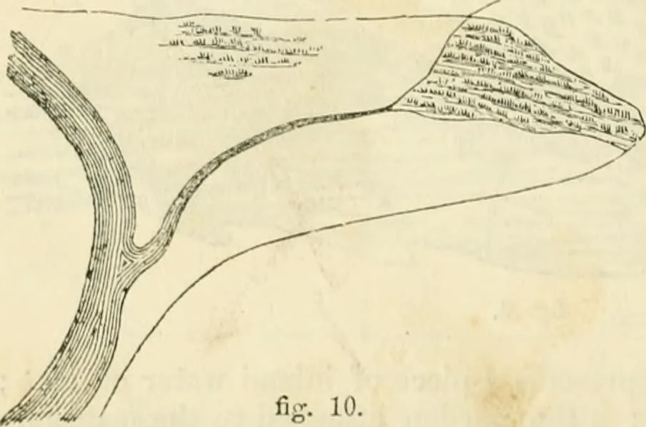 An illustration from The illustrated architectural, engineering, & mechanical drawing-book : for the use of schools, students, and artisans ; upwards of 300 illustrations, 1856, leaf 111