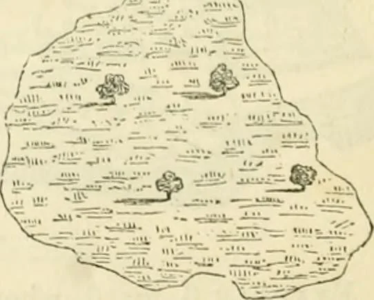 An illustration from The illustrated architectural, engineering, & mechanical drawing-book : for the use of schools, students, and artisans ; upwards of 300 illustrations, 1856, leaf 111