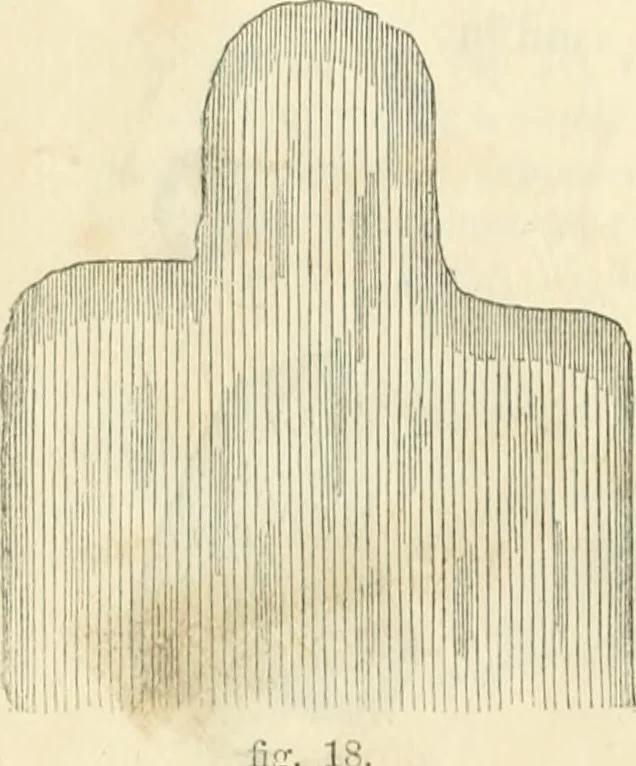 An illustration from The illustrated architectural, engineering, & mechanical drawing-book : for the use of schools, students, and artisans ; upwards of 300 illustrations, 1856, leaf 113