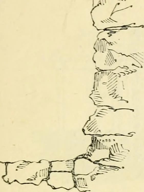 An illustration from The illustrated architectural, engineering, & mechanical drawing-book : for the use of schools, students, and artisans ; upwards of 300 illustrations, 1856, leaf 116