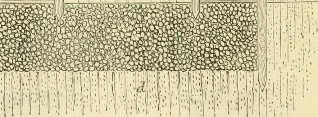 An illustration from The illustrated architectural, engineering, & mechanical drawing-book : for the use of schools, students, and artisans ; upwards of 300 illustrations, 1856, leaf 117