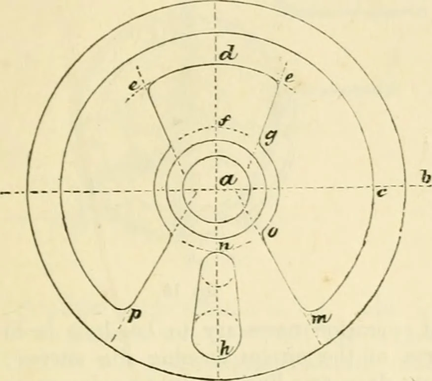 An illustration from The illustrated architectural, engineering, & mechanical drawing-book : for the use of schools, students, and artisans ; upwards of 300 illustrations, 1856, leaf 124