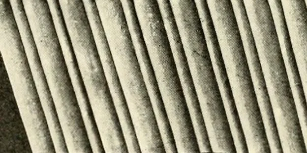 An illustration from Illustrated catalogue of period ornaments cast in composition and wood fibre for woodwork-furniture, 1900, leaf 275
