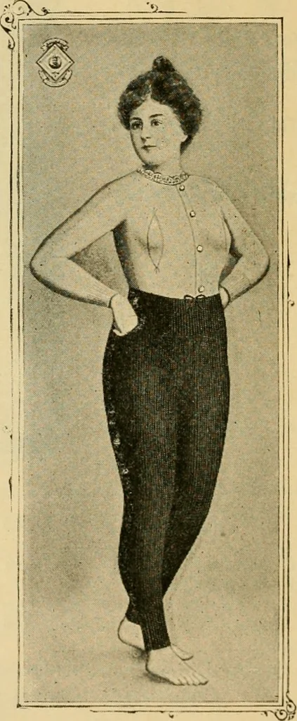An illustration from Illustrated catalogue and price list., 1897, leaf 33