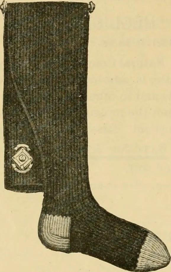An illustration from Illustrated catalogue and price list., 1897, leaf 37