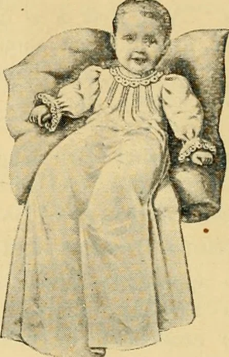 An illustration from Illustrated catalogue and price list., 1897, leaf 39