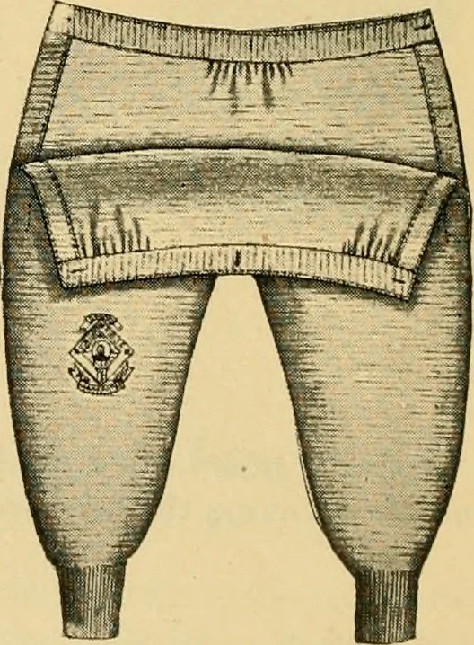 An illustration from Illustrated catalogue and price list., 1897, leaf 41