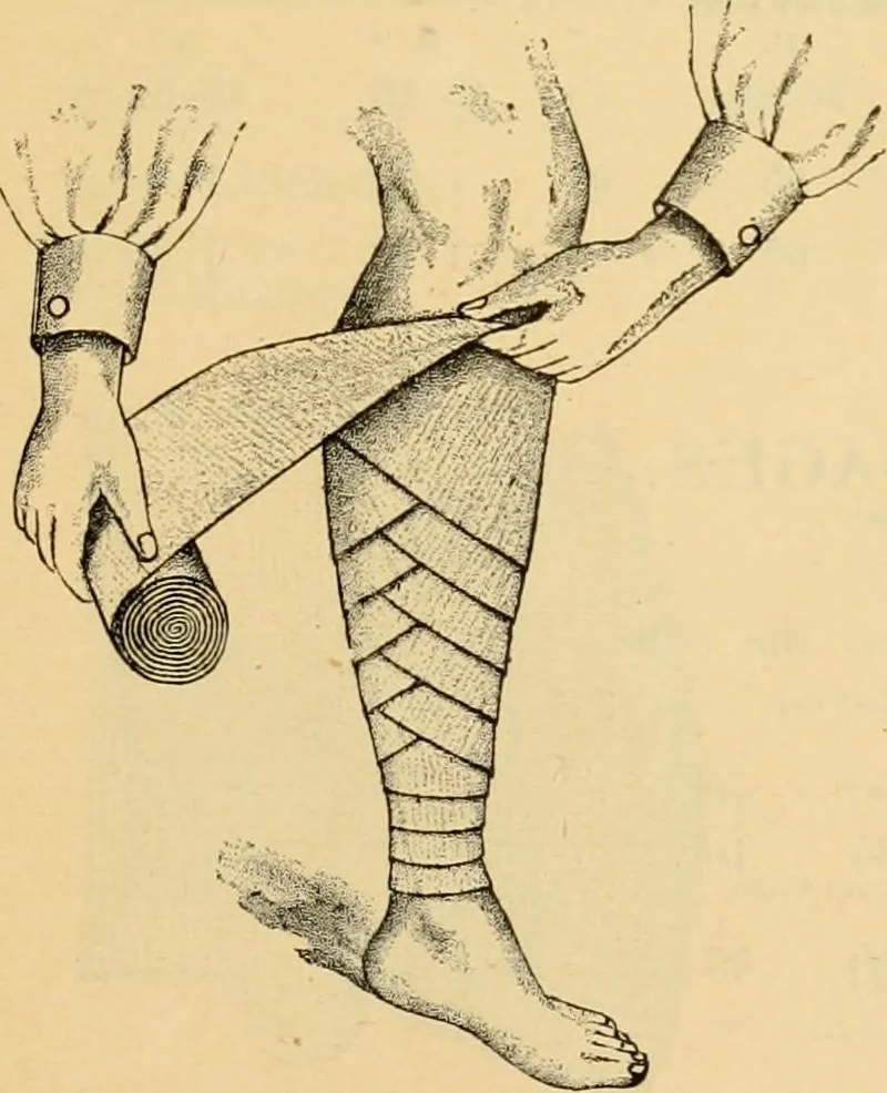 An illustration from Illustrated catalogue and price list., 1897, leaf 44