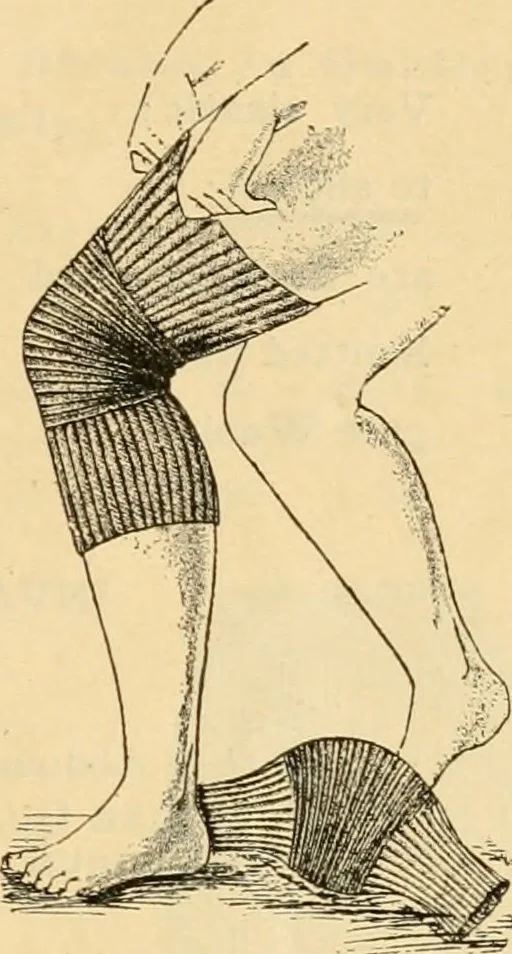 An illustration from Illustrated catalogue and price list., 1897, leaf 44