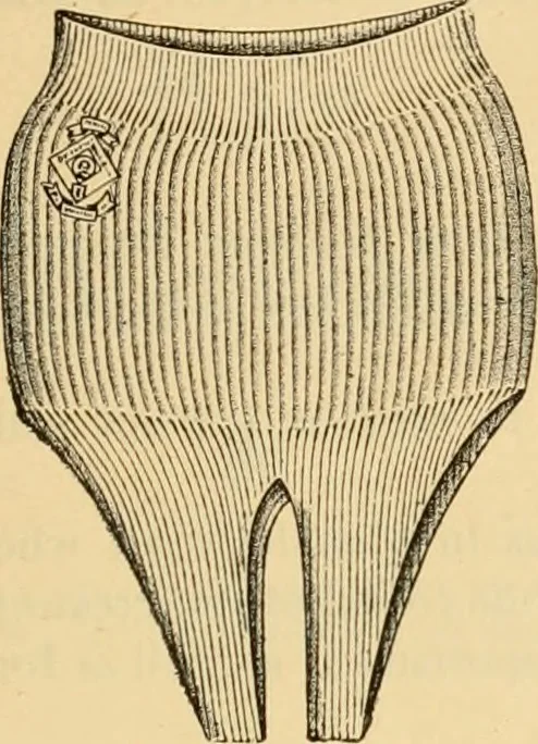 An illustration from Illustrated catalogue and price list., 1897, leaf 46