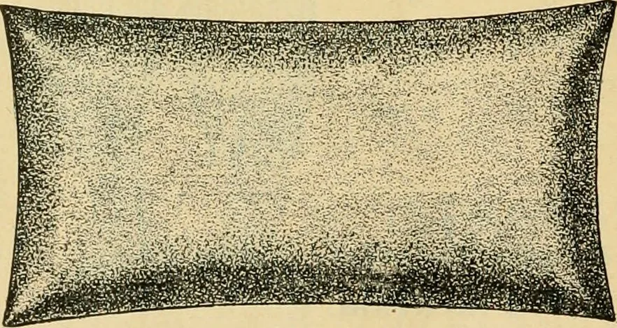 An illustration from Illustrated catalogue and price list., 1897, leaf 47