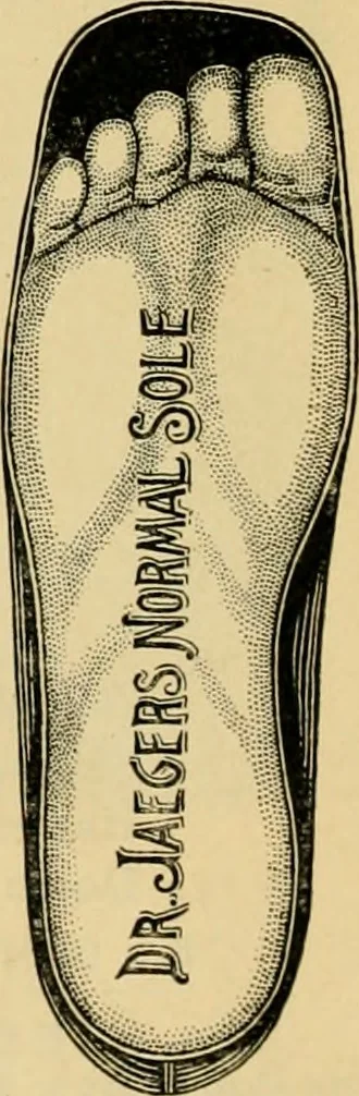 An illustration from Illustrated catalogue and price list., 1897, leaf 51
