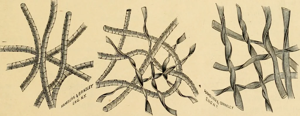 An illustration from Illustrated catalogue and price list., 1897, leaf 64
