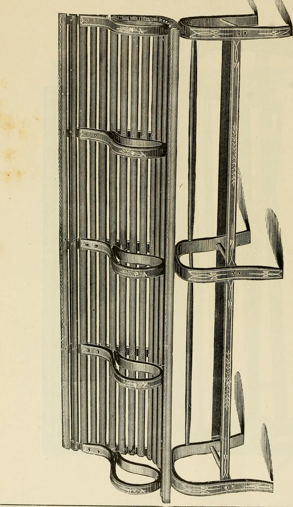 An illustration from Illustrated catalogue of the Sheboygan Chair Company., 1889, leaf 221