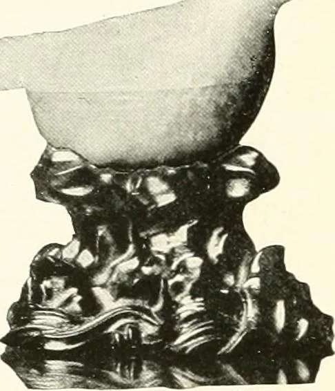 An illustration from Illustrated catalogue of a remarkable collection of ancient oriental imperial treasures of rare artistic distinction, recently procured in China and Japan, to be sold at unrestricted public sale by direction of the well-known firm of Messrs. Yamanaka & Co. .., 1916, leaf 29