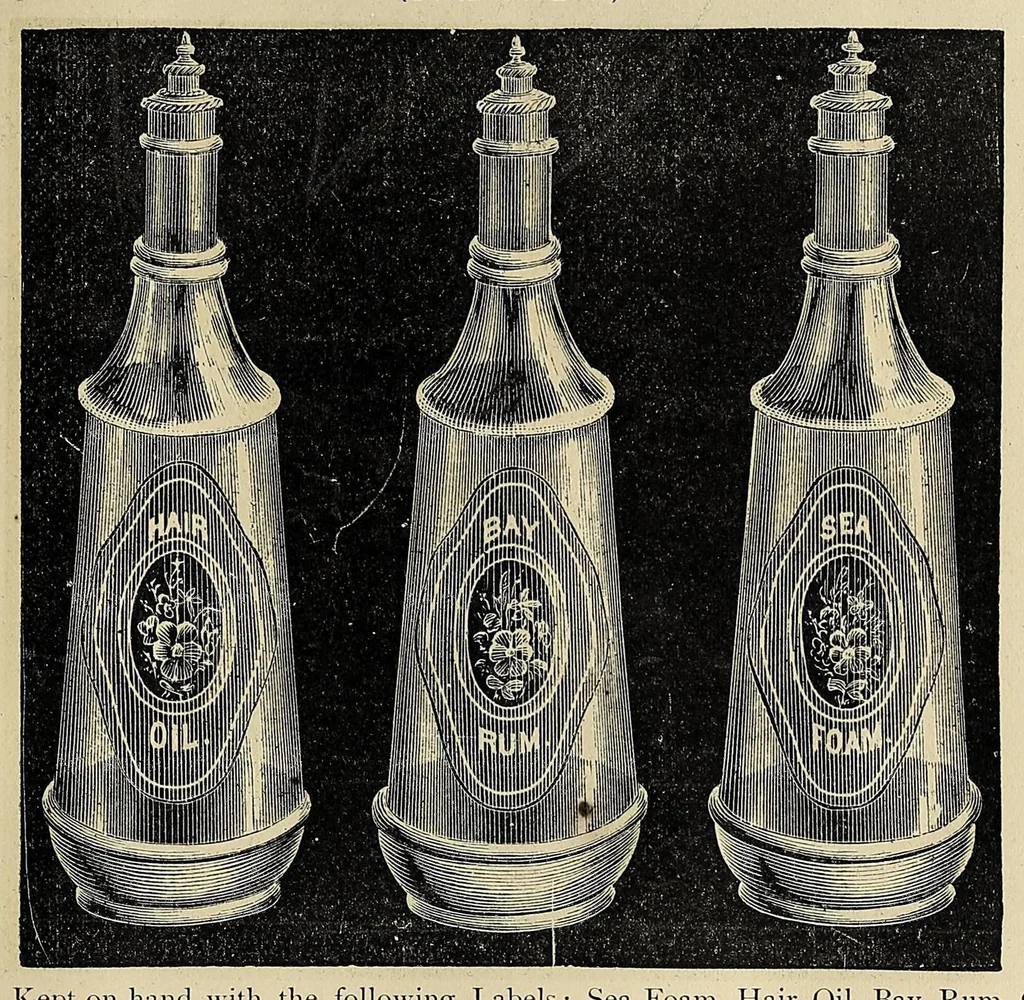 An illustration from Illustrated catalogue and price list, 1880, leaf 35