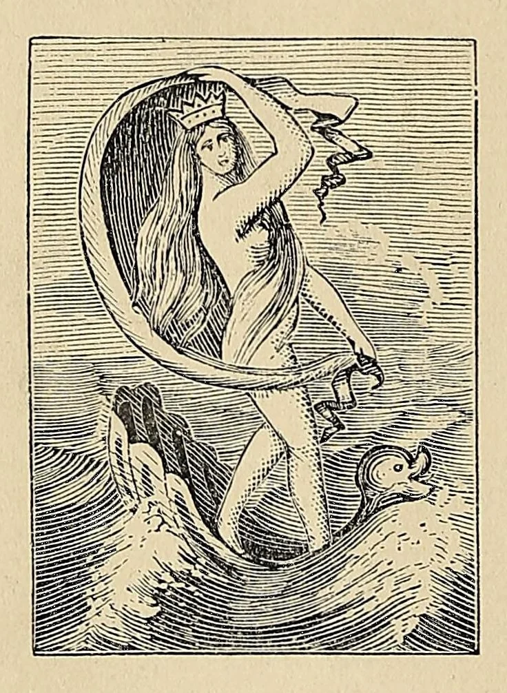 An illustration from Illustrated catalogue and price list, 1880, leaf 40