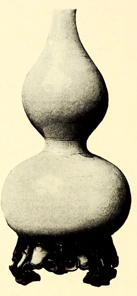 An illustration from Illustrated catalogue of an important collection of antique Chinese porcelains, ancient pottery, fine jades and agates, cloisonne enamels, beautiful snuff bottles, carved rhinoceros horn, bronzes and other objects : formed by Ernest Marsh, J.P. of Haselmore, Surrey, England .., 1916, leaf 82