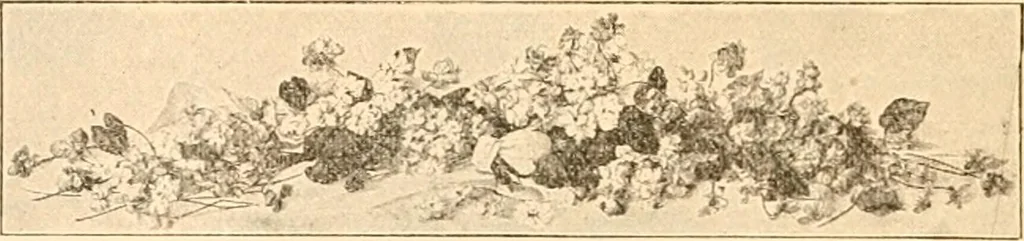 An illustration from Illustrated catalogue and price list of artists' materials, gold points, bronze powders, metallics, metal leaf,, 1897, leaf 211