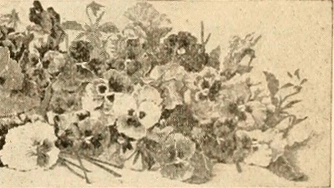 An illustration from Illustrated catalogue and price list of artists' materials, gold points, bronze powders, metallics, metal leaf,, 1897, leaf 211