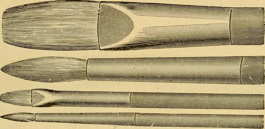An illustration from Illustrated catalogue., 1884, leaf 12