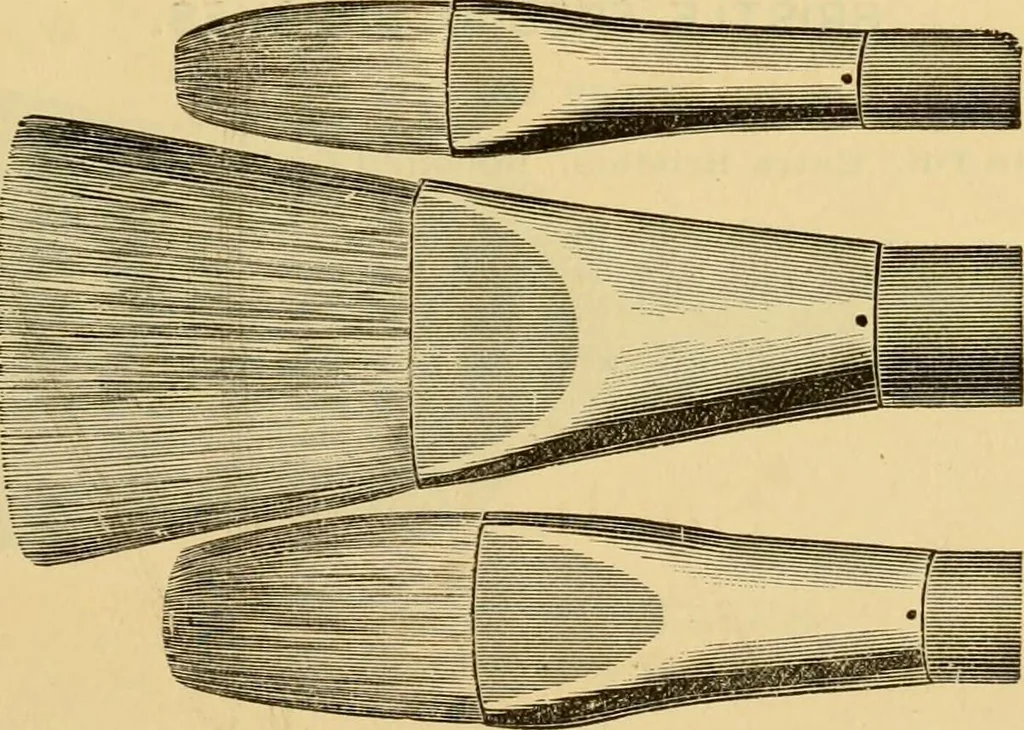 An illustration from Illustrated catalogue., 1884, leaf 12