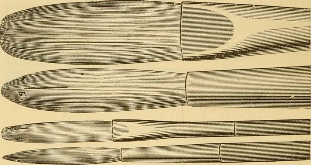 An illustration from Illustrated catalogue., 1884, leaf 13
