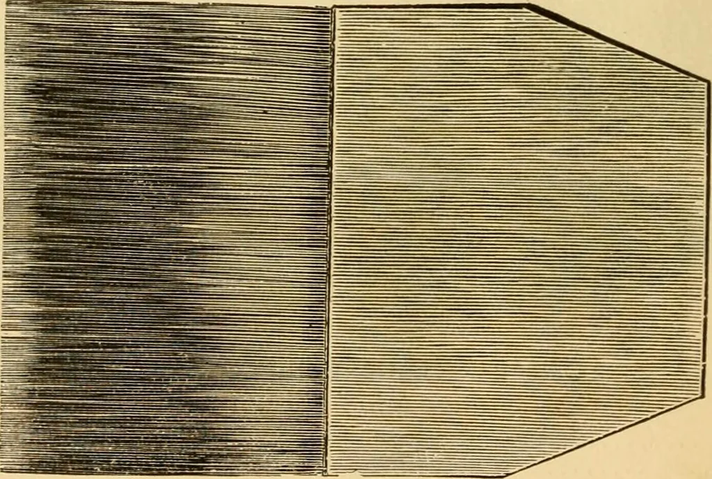 An illustration from Illustrated catalogue., 1884, leaf 17