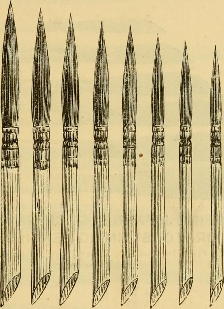 An illustration from Illustrated catalogue., 1884, leaf 22