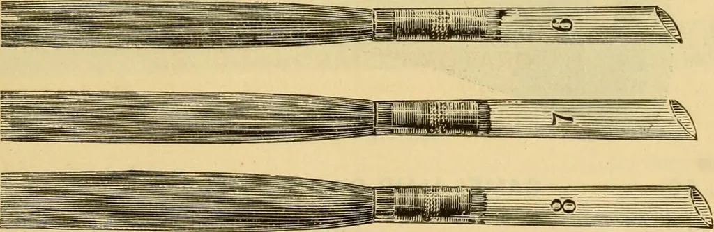 An illustration from Illustrated catalogue., 1884, leaf 24
