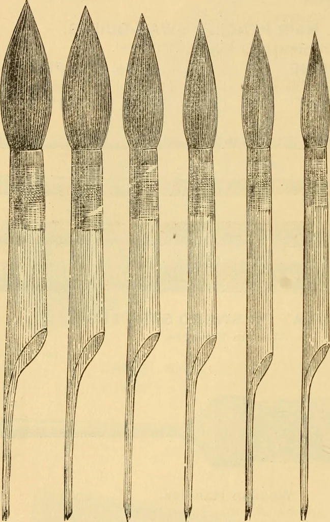 An illustration from Illustrated catalogue., 1884, leaf 27