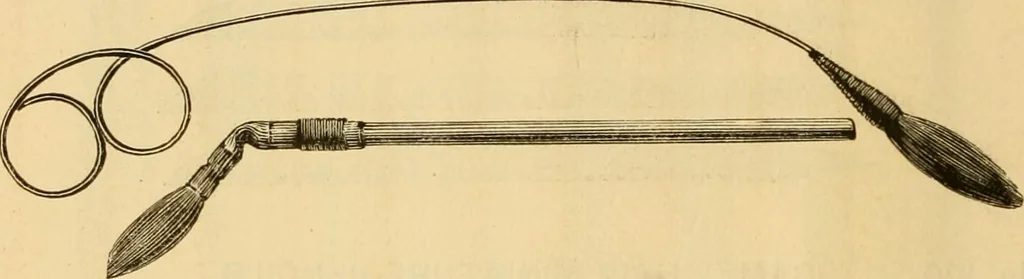 An illustration from Illustrated catalogue., 1884, leaf 29