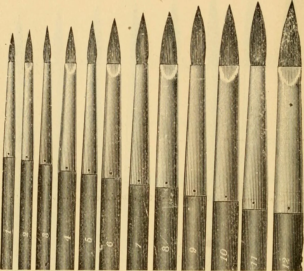 An illustration from Illustrated catalogue., 1884, leaf 31
