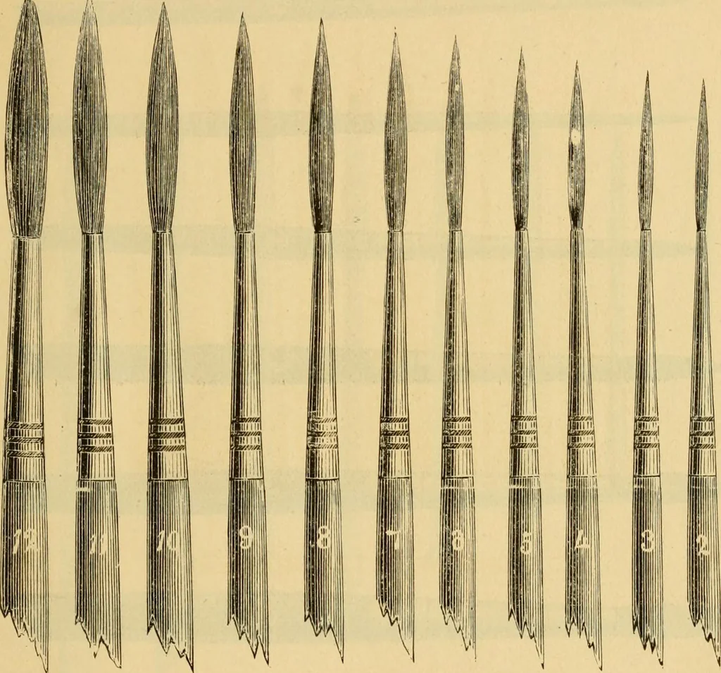 An illustration from Illustrated catalogue., 1884, leaf 32