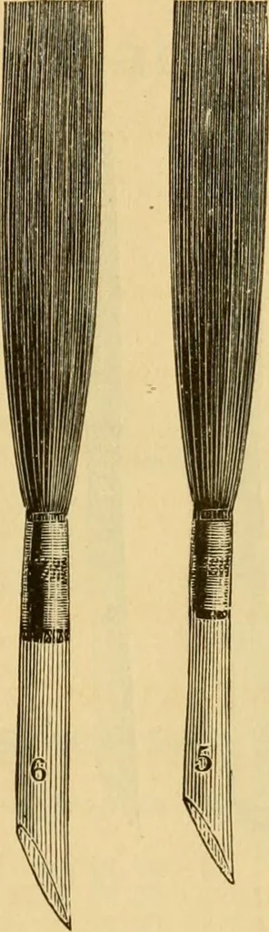 An illustration from Illustrated catalogue., 1884, leaf 36