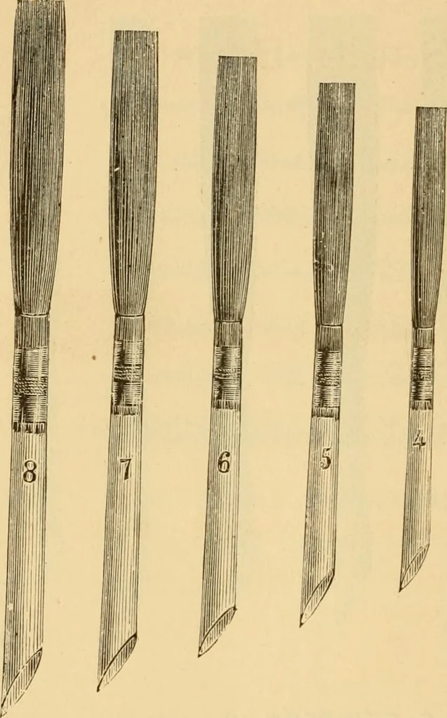 An illustration from Illustrated catalogue., 1884, leaf 37