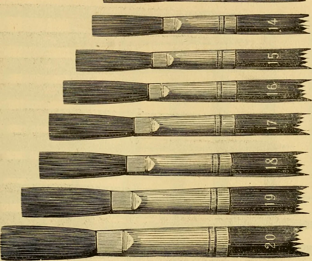 An illustration from Illustrated catalogue., 1884, leaf 46