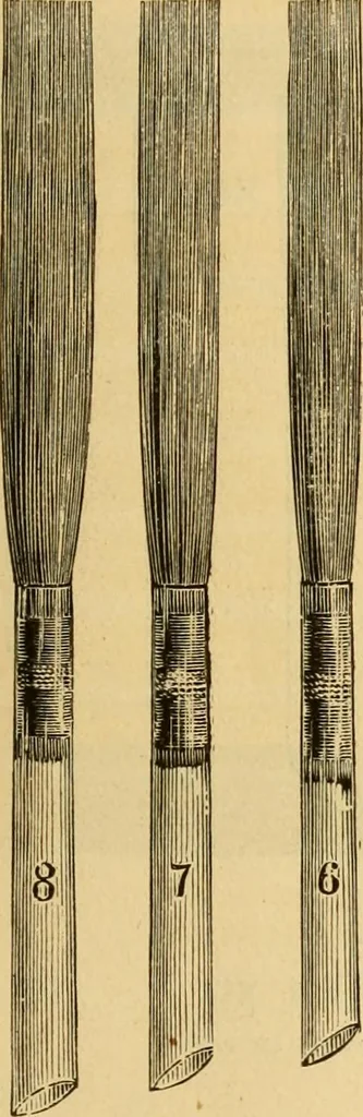 An illustration from Illustrated catalogue., 1884, leaf 48