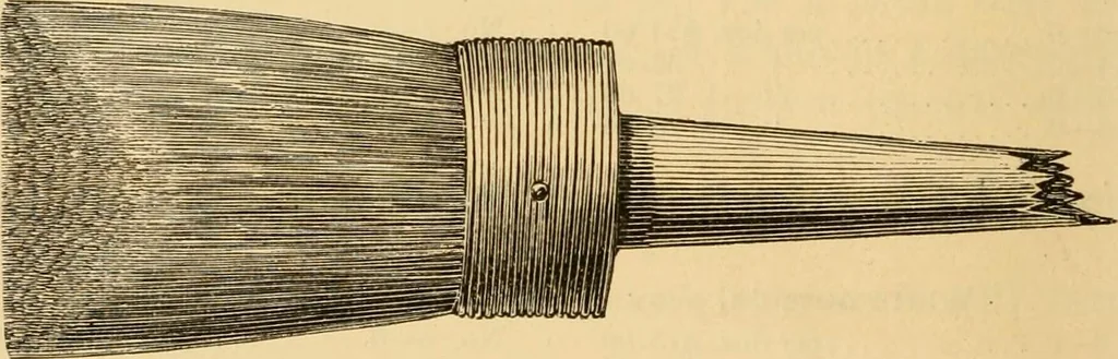 An illustration from Illustrated catalogue., 1884, leaf 7