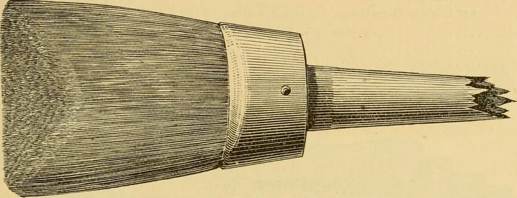 An illustration from Illustrated catalogue., 1884, leaf 8