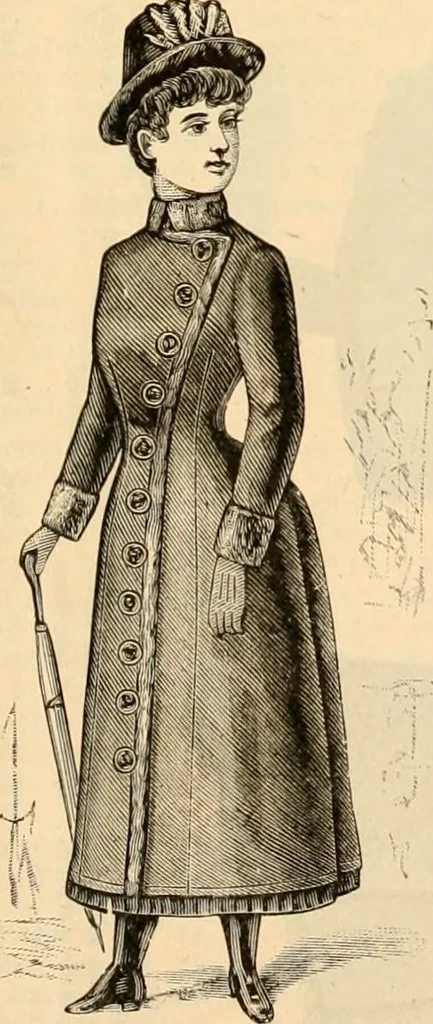An illustration from Illustrated catalogue and shopping guide., 1886, leaf 12