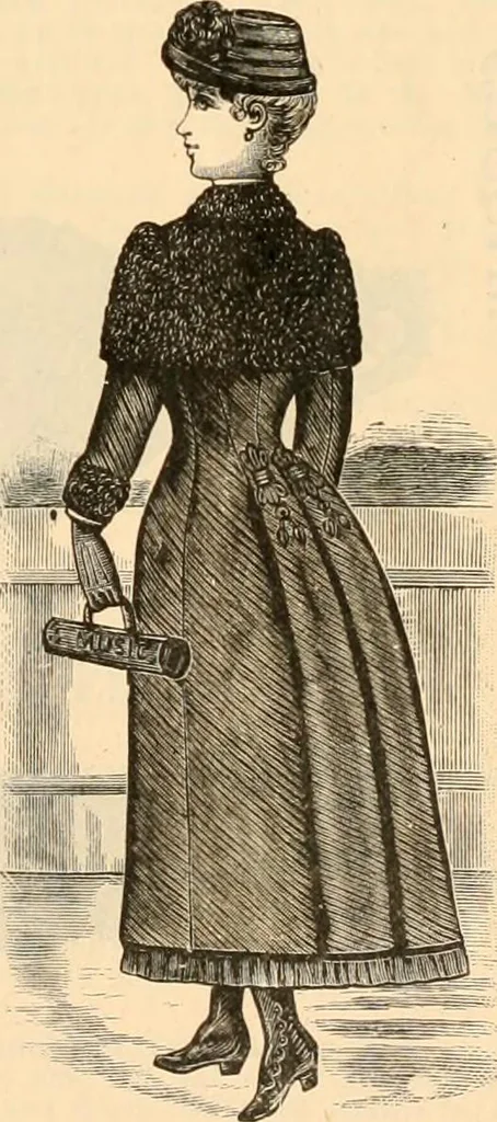 An illustration from Illustrated catalogue and shopping guide., 1886, leaf 12