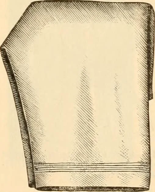An illustration from Illustrated catalogue and shopping guide., 1886, leaf 20
