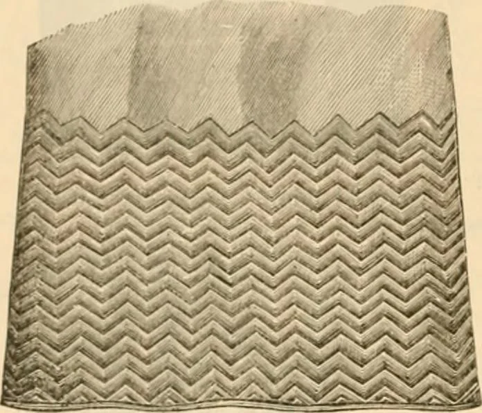An illustration from Illustrated catalogue and shopping guide., 1886, leaf 23