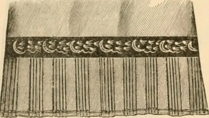 An illustration from Illustrated catalogue and shopping guide., 1886, leaf 23