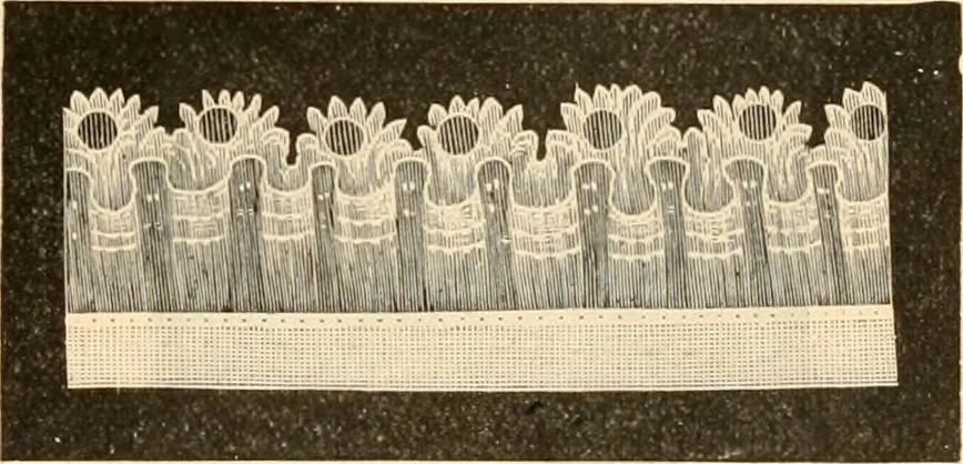 An illustration from Illustrated catalogue and shopping guide., 1886, leaf 36