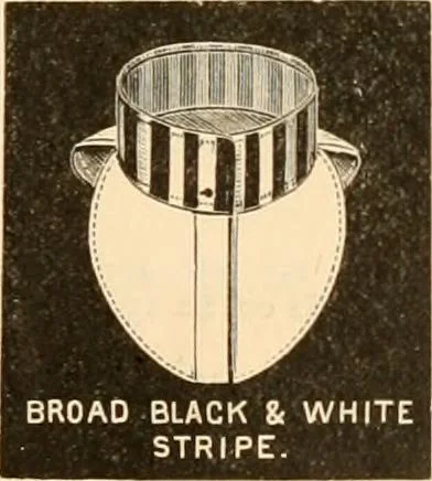 An illustration from Illustrated catalogue and shopping guide., 1886, leaf 38