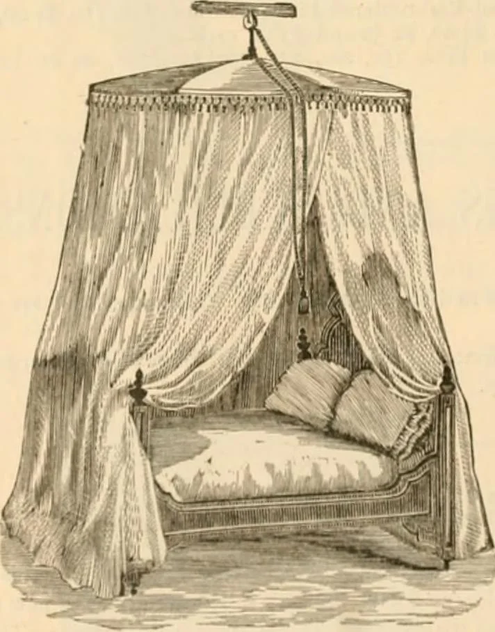 An illustration from Illustrated catalogue and shopping guide., 1886, leaf 41