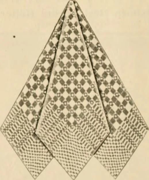 An illustration from Illustrated catalogue and shopping guide., 1886, leaf 45
